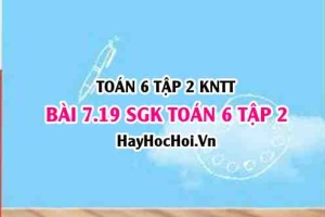 Bài 7.20 SGK Toán 6 tập 2 Kết nối tri thức